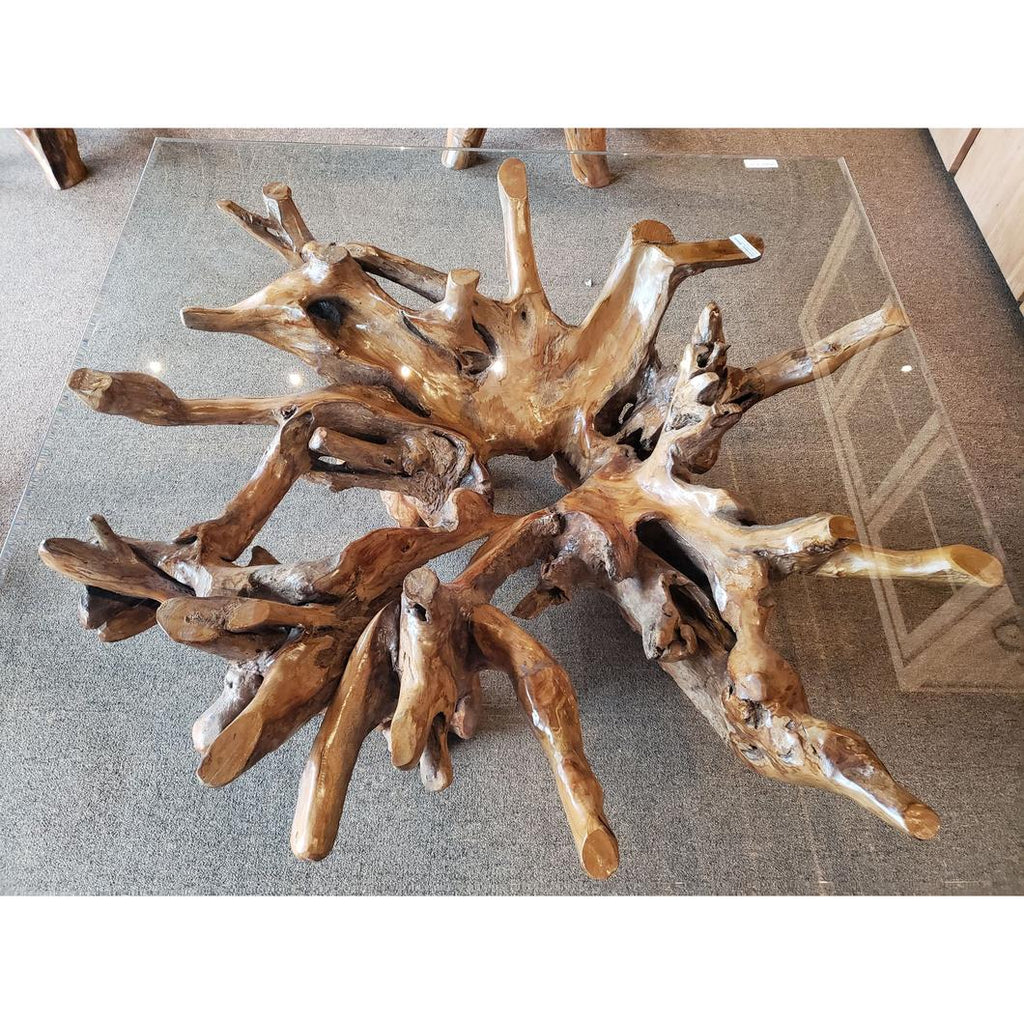 Teak Wood Root Coffee Table Including 55 inch Square Glass Top – La ...