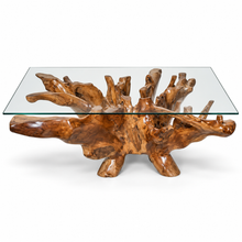 Teak Wood Root Rectangular Coffee Table with 55" x 43" Glass Top
