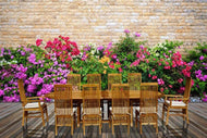 11 Piece Teak Wood West Palm Table/Chair Set With Cushions - La Place USA Furniture Outlet