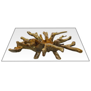 Teak Wood Root Rectangular Coffee Table with 55" x 43" Glass Top