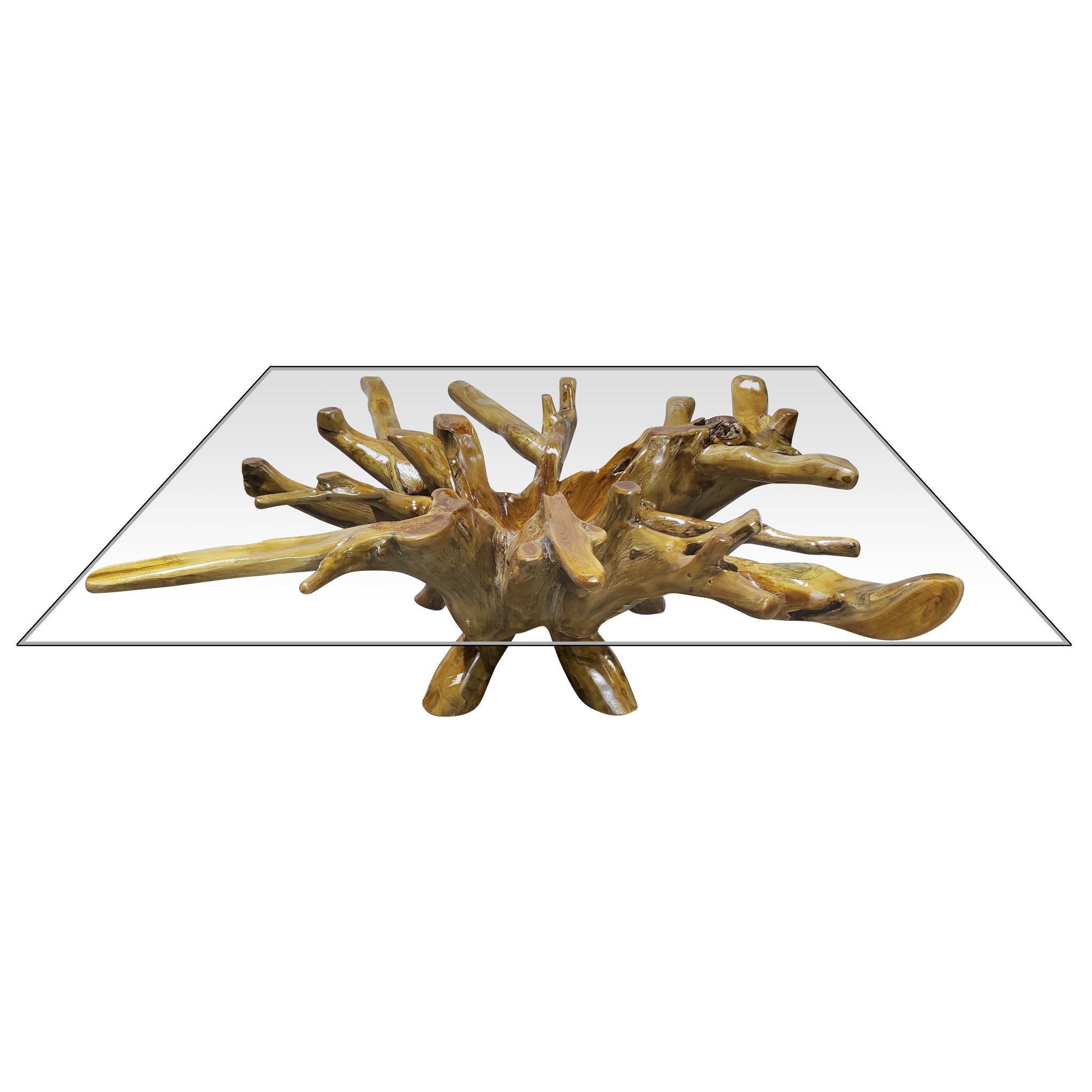Teak Wood Root Rectangular Coffee Table with 55" x 43" Glass Top – La ...